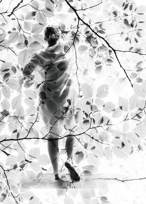 Through the light