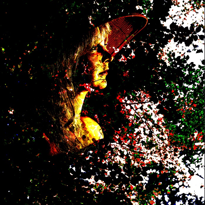 Scattered dreams